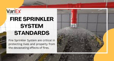 Fire Sprinkler System Standards