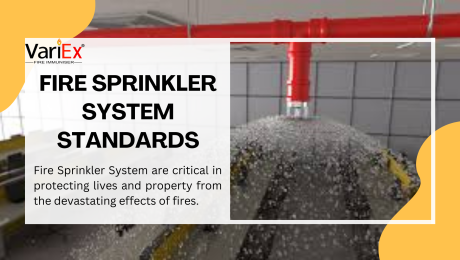 Fire Sprinkler System Standards